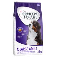 2x12kg Concept for Life X-Large Adult száraz kutyatáp