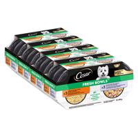 48x85g Cesar Fresh Bowls csirke & kacsa szószban nedves kutyatáp