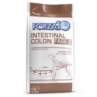 4kg Forza 10 Active Line Intestinal Colon Phase 2 száraz kutyatáp