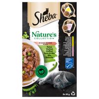 64x85g Sheba Nature's Collection szószban finom változatosság nedves macskatáp